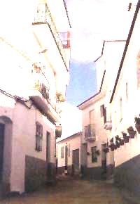 A VIEW OF ONE OF THE MAIN STREETS.  